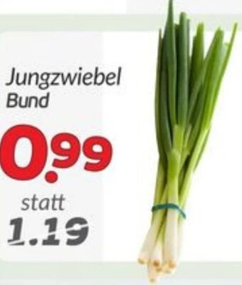 ETSAN Jungzwiebel Bund Angebot