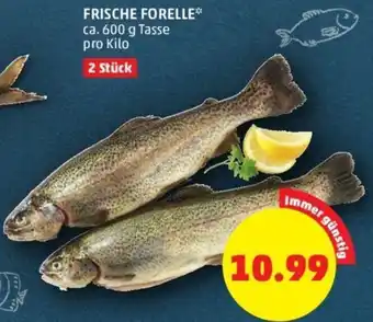 PENNY FRISCHE FORELLE** ca. 600 g Tasse Angebot