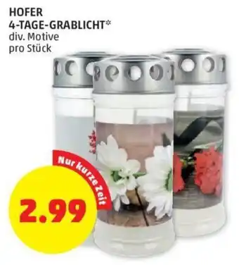 PENNY HOFER 4-TAGE-GRABLICHT* div. Motive pro Stück Angebot