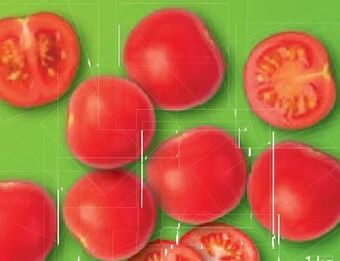 Lidl Tomaten Angebot