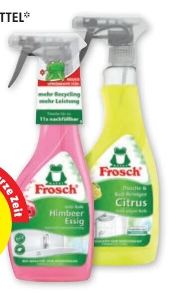 PENNY Reinigungsmittel Angebot