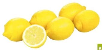 Transgourmet Bio zitronen Angebot