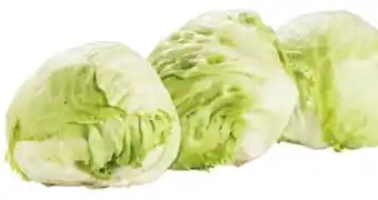 Transgourmet Bio eisbergsalat Angebot