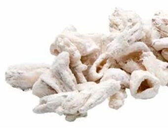 Transgourmet Tintenfisch mehliert Angebot