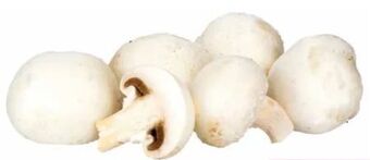 Transgourmet Champignons Angebot