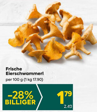 Billa Frische Eierschwammerl per 100 g Angebot