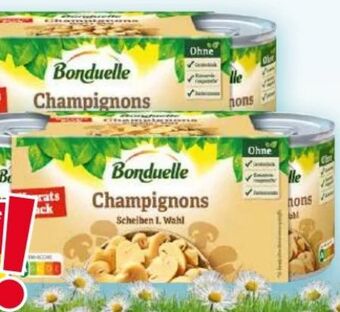 Norma Champignons Angebot