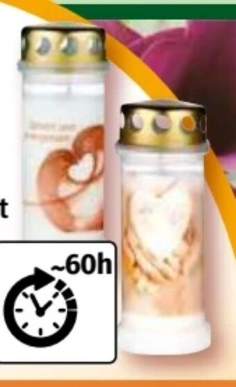 Norma Grablicht Angebot