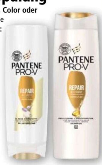 Norma Shampoo Angebot