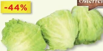 Unimarkt Eisbergsalat Angebot