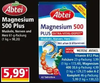 Norma Abtei Magnesium 500 Plus Muskeln, Nerven und Herz 61-g-Packung (1 kg = 98,20) Angebot