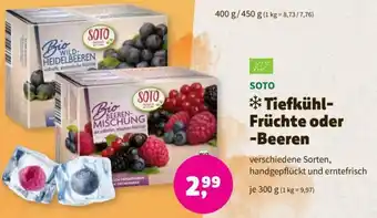Denn's Biomarkt *Tiefkühl-Früchte oder -Beeren 300 g Angebot