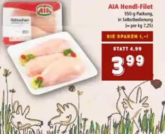 Interspar AIA Hendl-Filet 550g Angebot