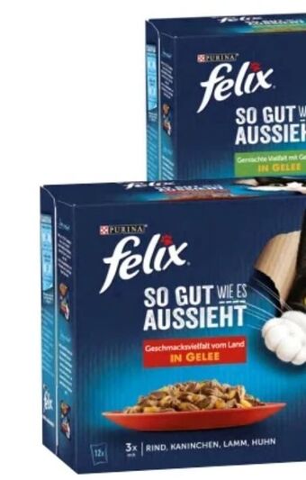 Interspar Felix katzennahrung Angebot
