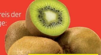 Hofer Kiwi Angebot