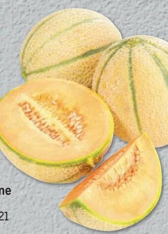 Metro Zuckermelone Angebot