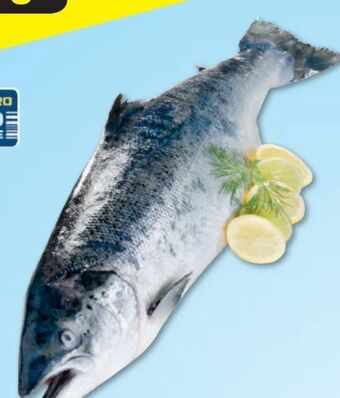 Metro Lachs Angebot