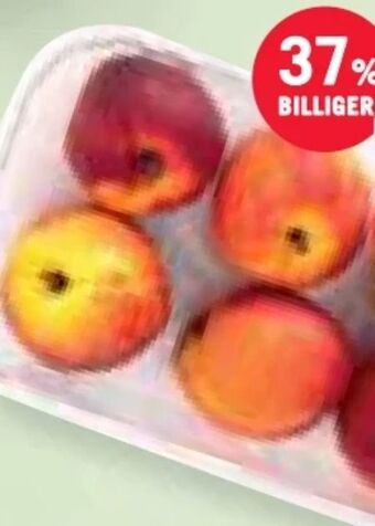 MPreis Nektarinen Angebot