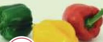 MPreis Paprika tricolore Angebot