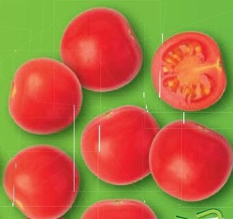 Lidl Bio tomaten Angebot
