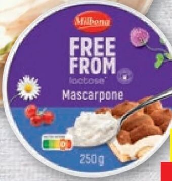 Lidl Mascarpone Angebot