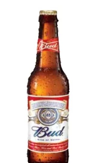 Transgourmet Bier Angebot