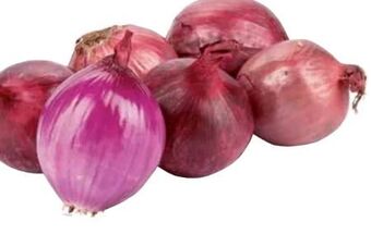 Transgourmet Zwiebel Angebot