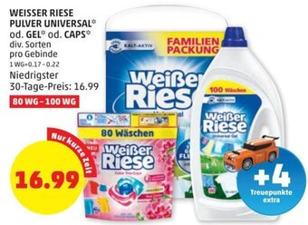 PENNY WEISSER RIESE PULVER UNIVERSAL* od. GEL* od. CAPS* div. Sorten Angebot