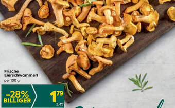 Billa Frische Eierschwammerl per 100 g Angebot