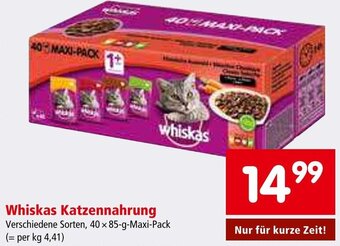 Interspar Whiskas Katzennahrung Verschiedene Sorten, 40 x 85-g-Maxi-Pack Angebot