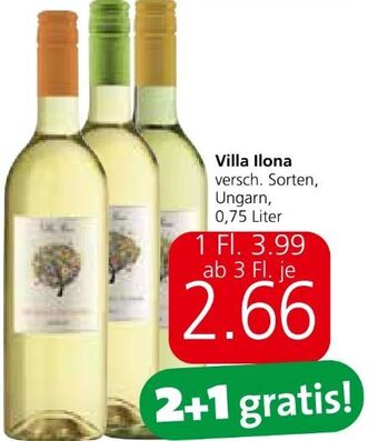Spar Grüner veltliner Angebot