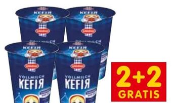 Interspar Kefir Angebot