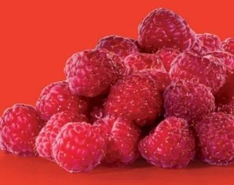 Hofer Himbeeren Angebot