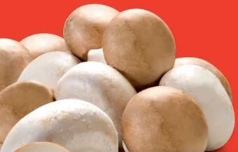 Hofer Champignons Angebot