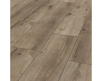 Hornbach Laminat swiss krono 8.0 exquisit plus kashmir eiche titan Angebot