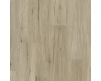 Hornbach Skandor laminat 8.0 vibrant oak Angebot