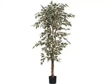 Hornbach Kunstpflanze birkenfeige ficus hawalli ø 90 cm höhe: 175 cm grün Angebot