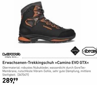 Intersport LOWA Erwachsenen-Trekkingschuh »Camino EVO GTX<< Angebot