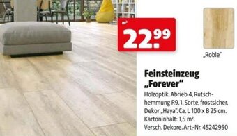 Hagebau Feinsteinzeug ,,Forever" Angebot