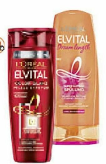 Müller Elvital Shampoo Angebot