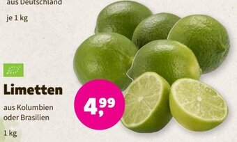 Denn's Biomarkt Limetten 1 kg Angebot