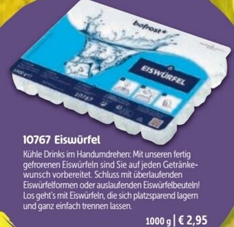 Eiswürfel 1000 g