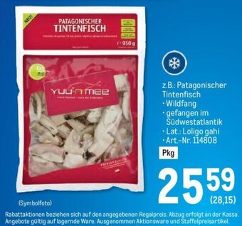 Metro z.B.: Patagonischer Tintenfisch Angebot