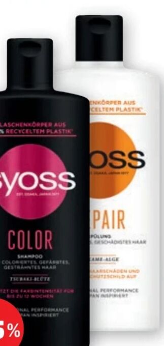 PENNY Shampoo Angebot