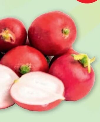 PENNY Snack radieschen Angebot