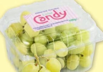 PENNY Trauben Angebot