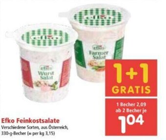 Interspar Efko Feinkostsalate Angebot