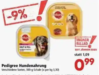 Interspar Pedigree Hundenahrung 300g Angebot