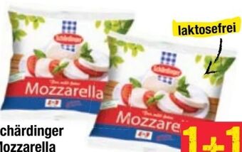 Maximarkt Mozzarella Angebot