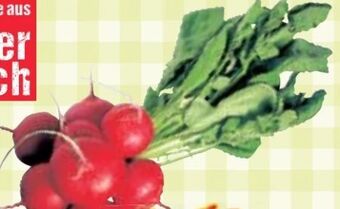 Maximarkt Radieschen Angebot